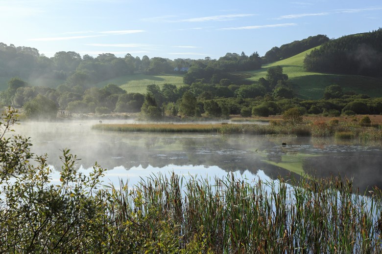 wetlands