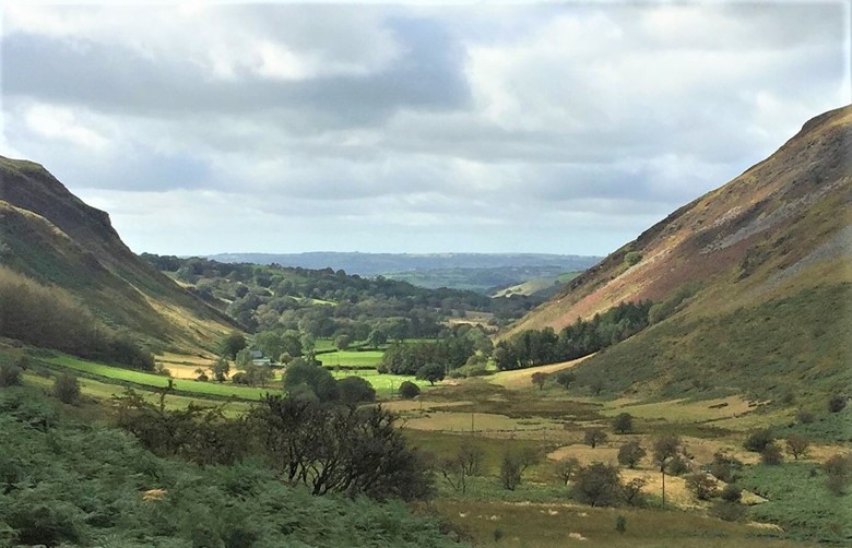 cwm